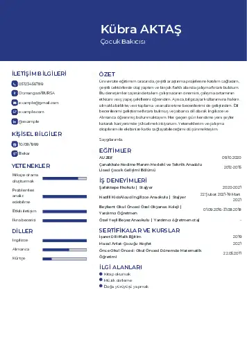Çocuk Bakıcısı CV Örnekleri cv indir